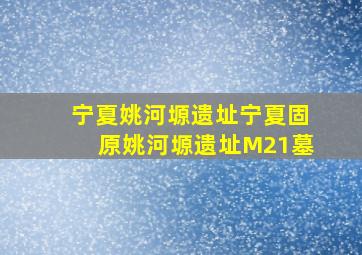 宁夏姚河塬遗址宁夏固原姚河塬遗址M21墓