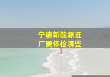 宁德新能源进厂要体检哪些