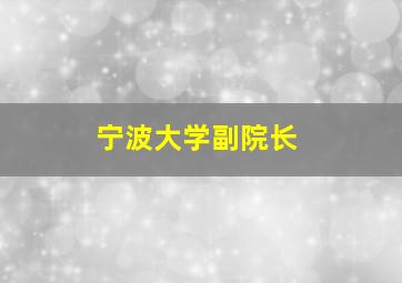 宁波大学副院长