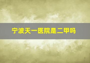 宁波天一医院是二甲吗