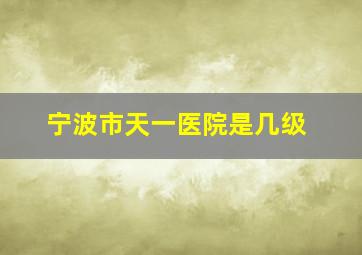 宁波市天一医院是几级