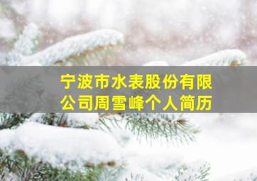 宁波市水表股份有限公司周雪峰个人简历