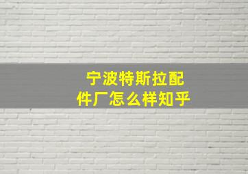 宁波特斯拉配件厂怎么样知乎