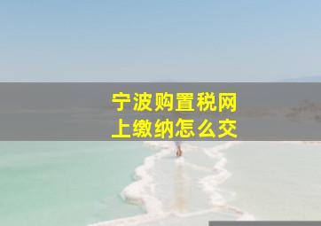 宁波购置税网上缴纳怎么交