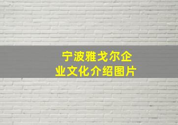 宁波雅戈尔企业文化介绍图片