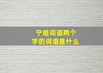 宁组词语两个字的词语是什么