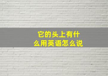 它的头上有什么用英语怎么说