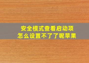 安全模式查看启动项怎么设置不了了呢苹果