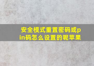 安全模式重置密码或pin码怎么设置的呢苹果