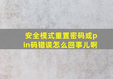 安全模式重置密码或pin码错误怎么回事儿啊