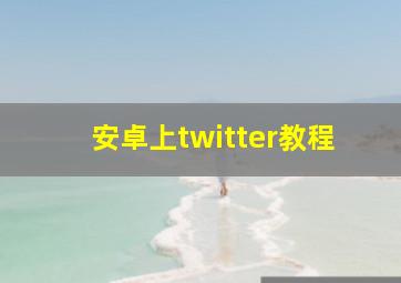 安卓上twitter教程