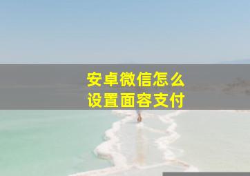 安卓微信怎么设置面容支付