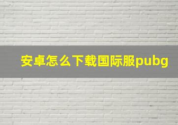 安卓怎么下载国际服pubg