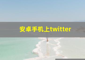 安卓手机上twitter