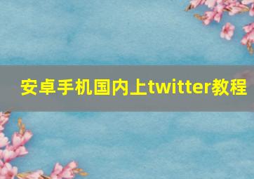 安卓手机国内上twitter教程