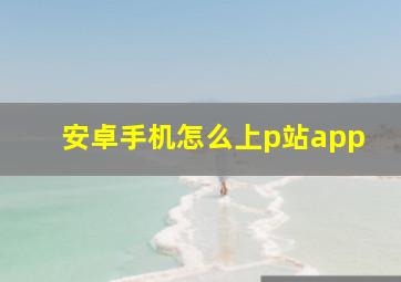 安卓手机怎么上p站app