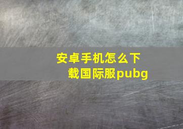 安卓手机怎么下载国际服pubg