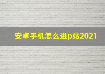 安卓手机怎么进p站2021