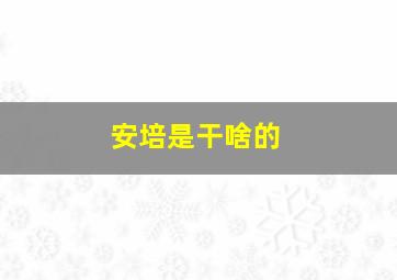 安培是干啥的