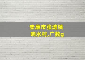 安康市张滩镇响水村,广数g