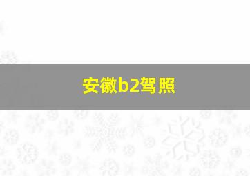 安徽b2驾照