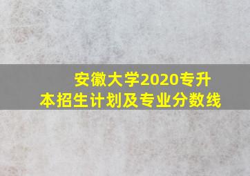 安徽大学2020专升本招生计划及专业分数线