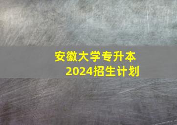 安徽大学专升本2024招生计划