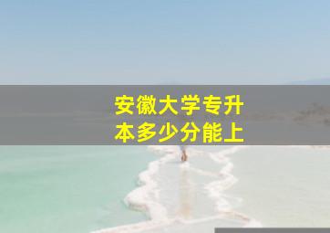 安徽大学专升本多少分能上