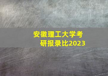 安徽理工大学考研报录比2023