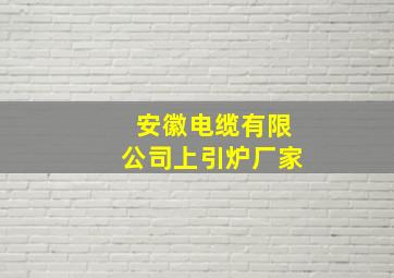 安徽电缆有限公司上引炉厂家