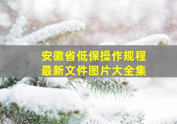 安徽省低保操作规程最新文件图片大全集