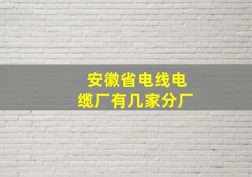 安徽省电线电缆厂有几家分厂