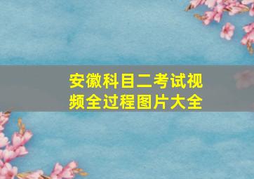 安徽科目二考试视频全过程图片大全