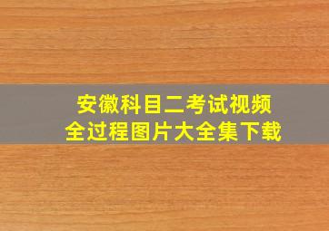 安徽科目二考试视频全过程图片大全集下载