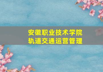 安徽职业技术学院轨道交通运营管理