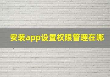 安装app设置权限管理在哪