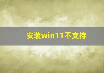 安装win11不支持