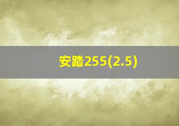 安踏255(2.5)