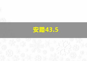 安踏43.5