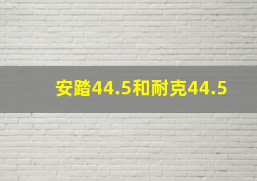 安踏44.5和耐克44.5