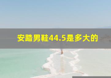 安踏男鞋44.5是多大的