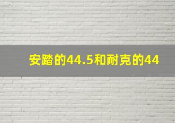 安踏的44.5和耐克的44