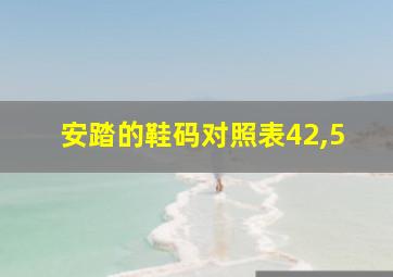 安踏的鞋码对照表42,5