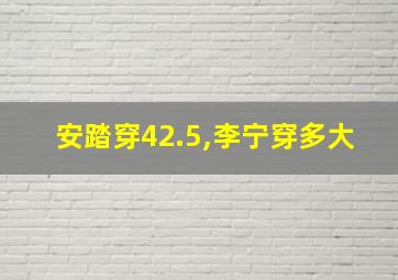 安踏穿42.5,李宁穿多大