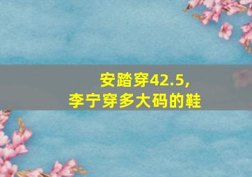 安踏穿42.5,李宁穿多大码的鞋