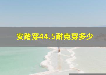 安踏穿44.5耐克穿多少