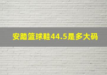 安踏篮球鞋44.5是多大码