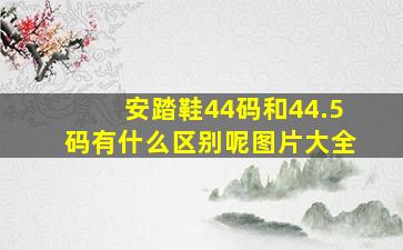 安踏鞋44码和44.5码有什么区别呢图片大全