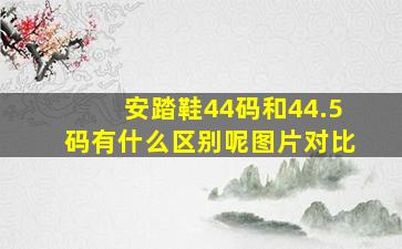 安踏鞋44码和44.5码有什么区别呢图片对比