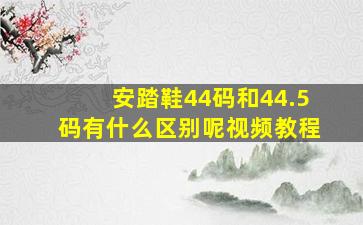 安踏鞋44码和44.5码有什么区别呢视频教程